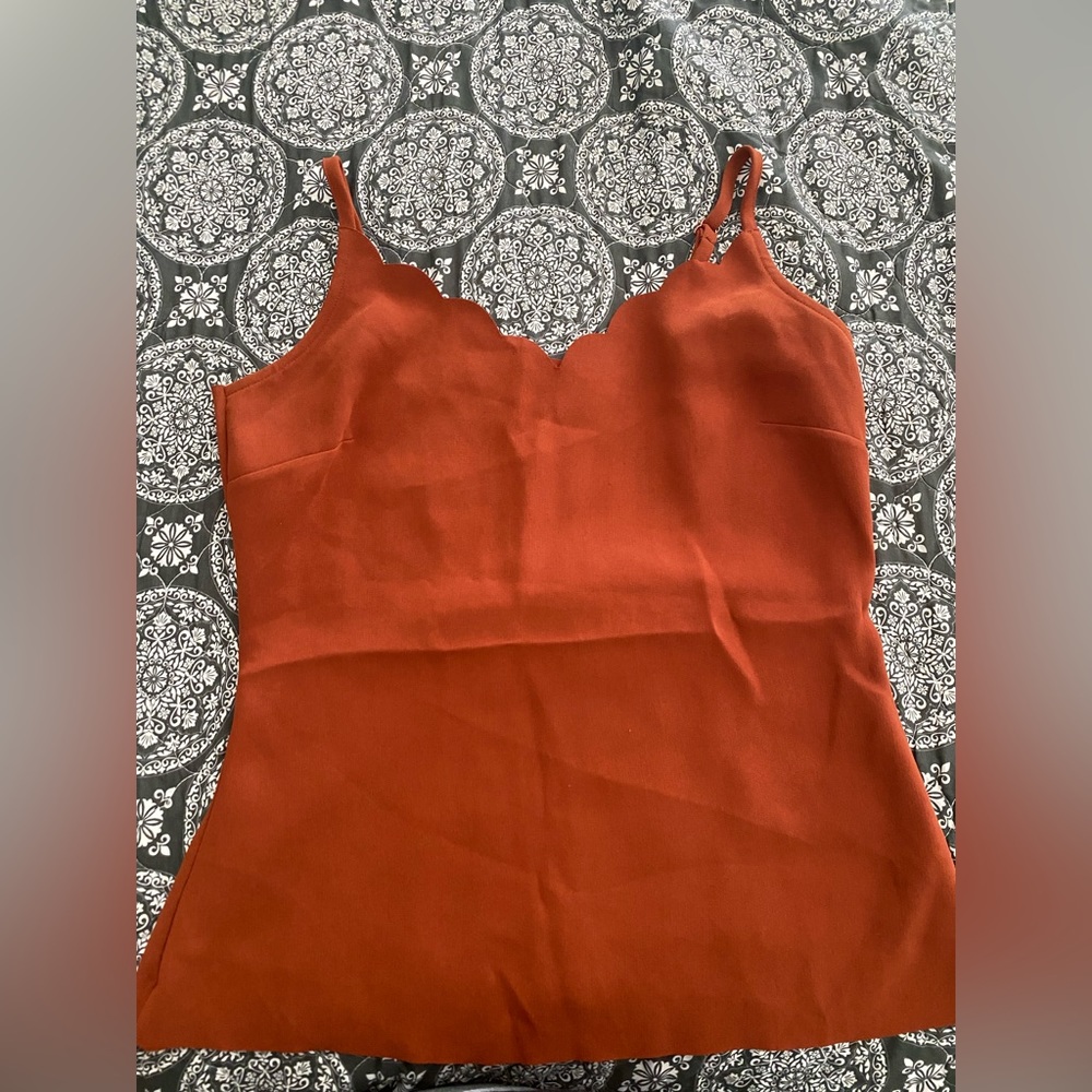 Ted Baker Brown Scallop Top(Siina)-XS